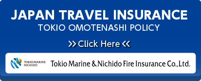 JAPAN TRAVEL INSURANCE